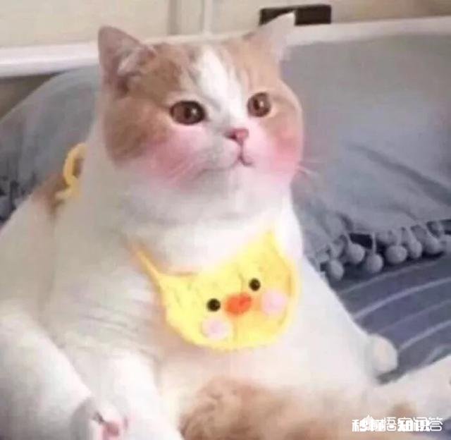 双十二即将来临，如何网购才能尽快收到快递