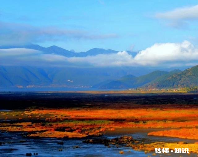 为什么有的人很喜欢在我面前说别人的不是讨厌负能量