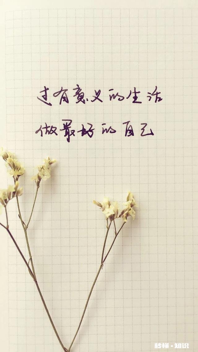 天天发心灵鸡汤，你活成你想要的样子了吗