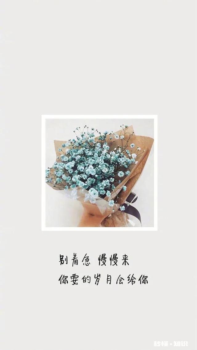 天天发心灵鸡汤，你活成你想要的样子了吗