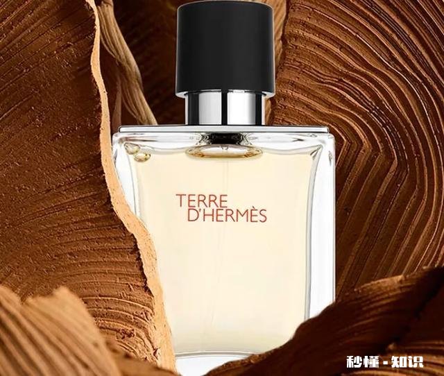 宝格丽大吉岭茶和爱马仕大地买哪个合适