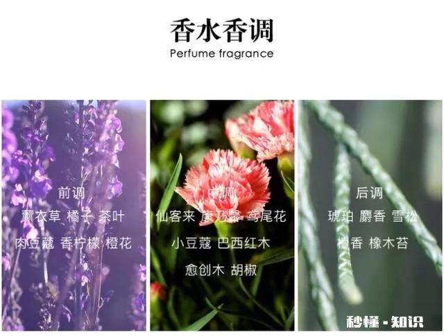 宝格丽大吉岭茶和爱马仕大地买哪个合适