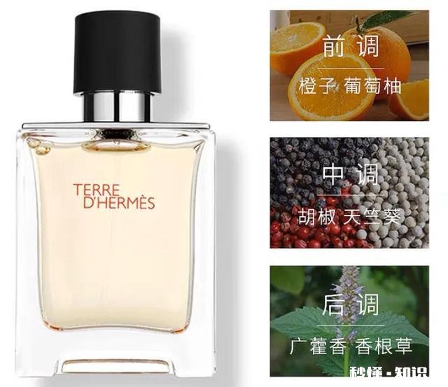 宝格丽大吉岭茶和爱马仕大地买哪个合适