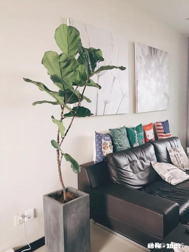 如何打造北欧家居风格的建议有哪些