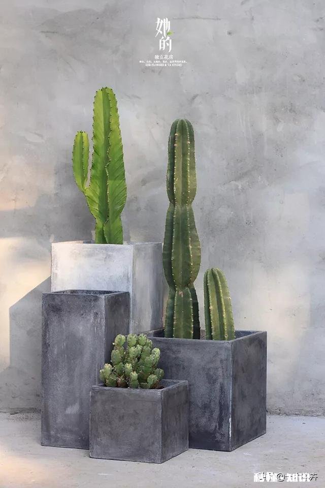 如何打造北欧家居风格的建议有哪些