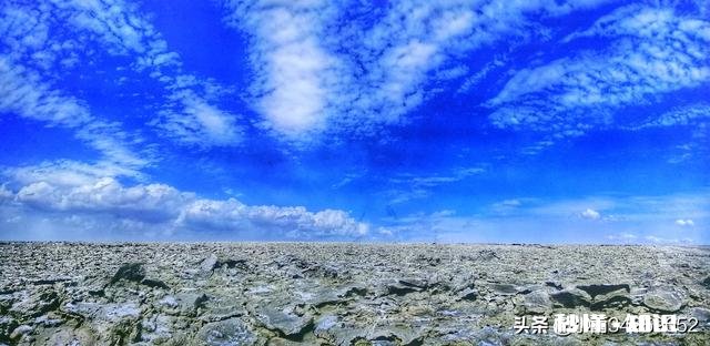 可以介绍一下拖挂房车吗