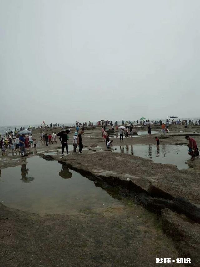 对著名景点假日拥挤的现象，你有什么看法