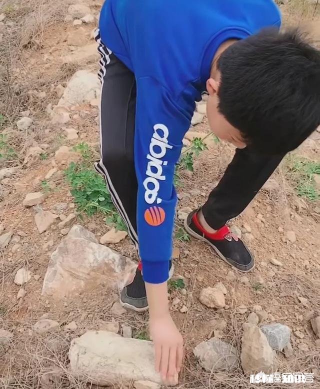 农村的什么地方蝎子多