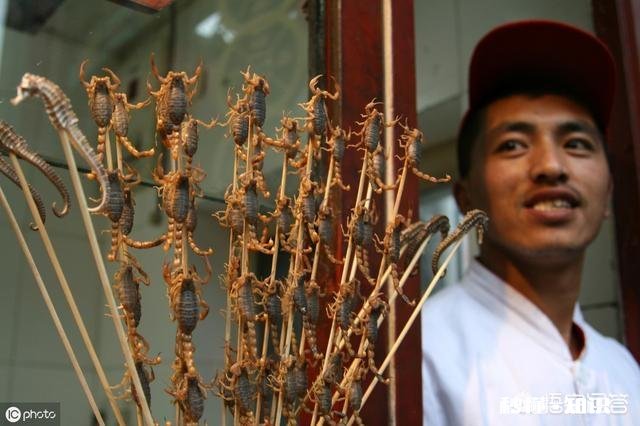 农村的什么地方蝎子多