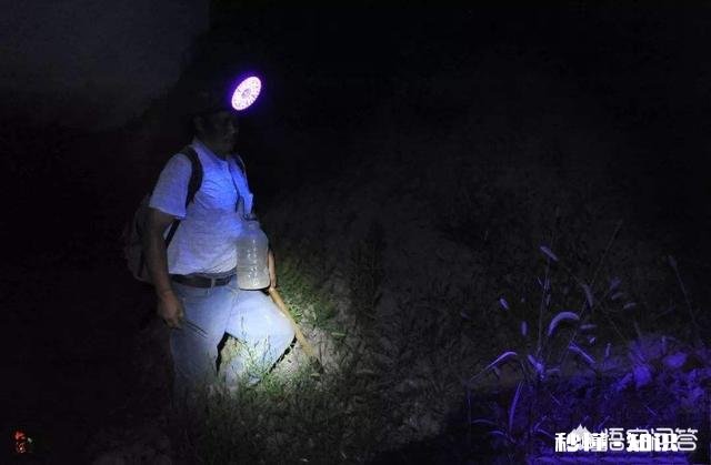 农村的什么地方蝎子多