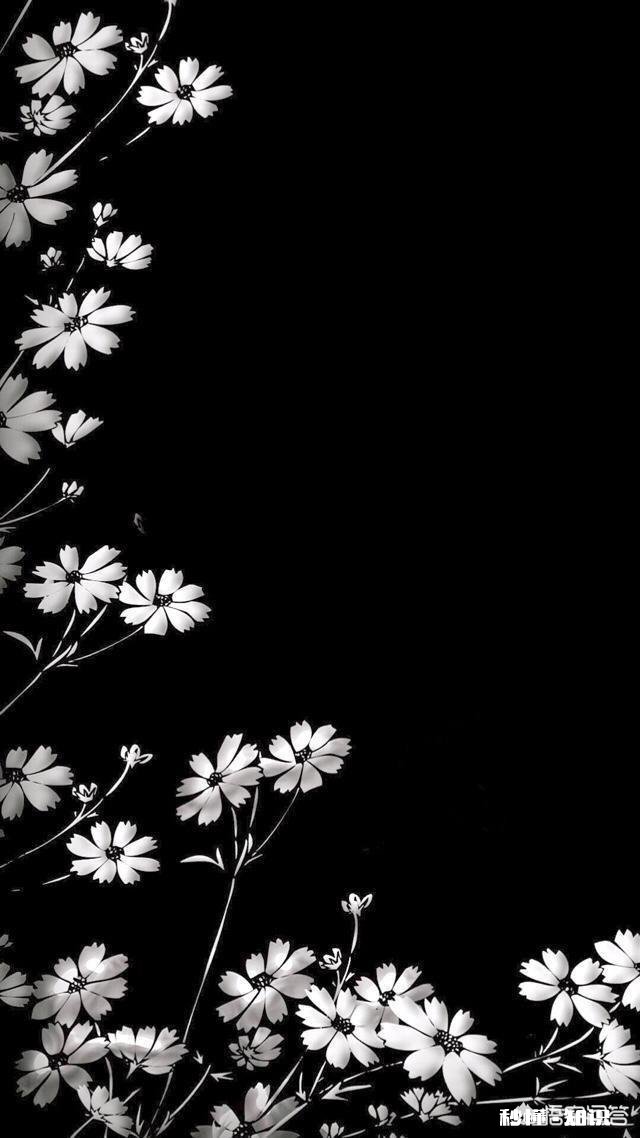 黑色手机用什么壁纸好看