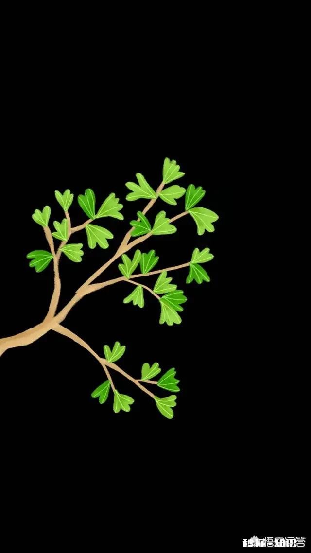 黑色手机用什么壁纸好看