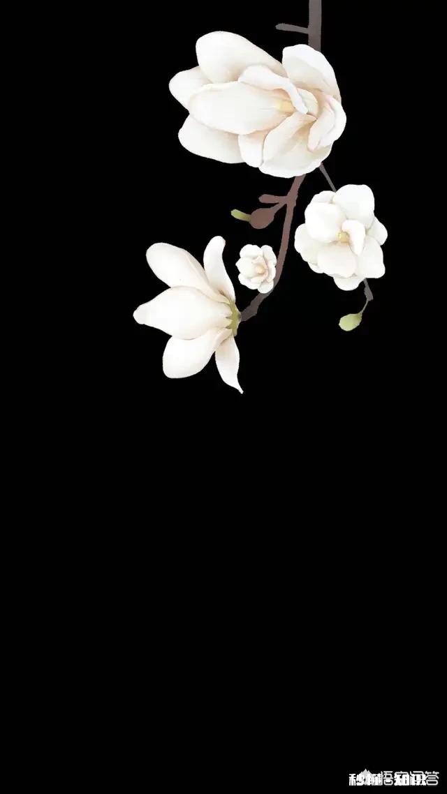 黑色手机用什么壁纸好看