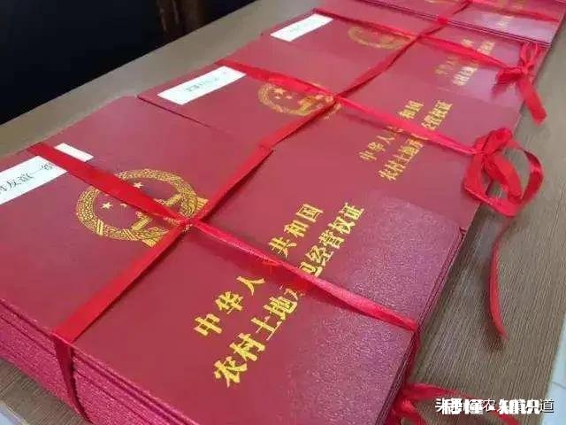 户口迁出，原承包地还属于自己吗还能享受农村宅基地、耕地吗