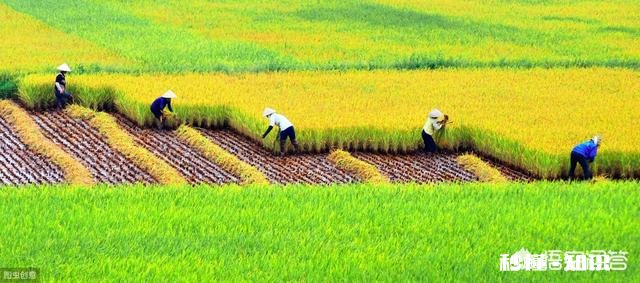 户口迁出，原承包地还属于自己吗还能享受农村宅基地、耕地吗