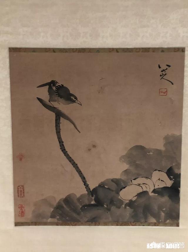 你对那些鉴宝节目怎么看