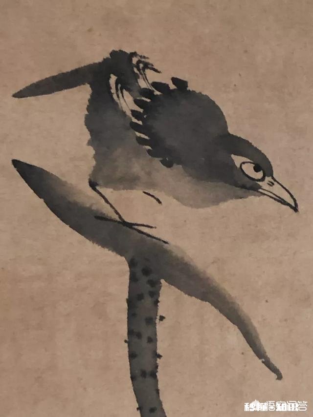 你对那些鉴宝节目怎么看