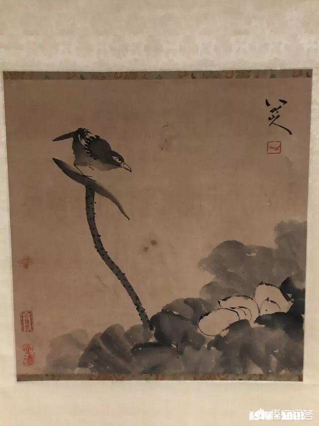 你对那些鉴宝节目怎么看