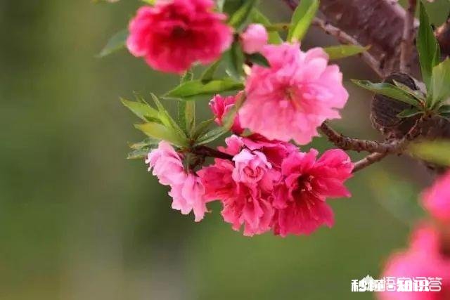 “春天是播种的季节，春天是孕育梦想的时刻”，献给正工作创业的人们。你觉得合适吗