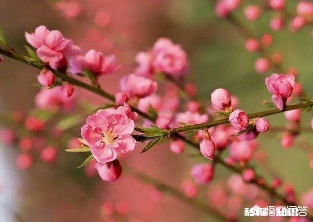 “春天是播种的季节，春天是孕育梦想的时刻”，献给正工作创业的人们。你觉得合适吗