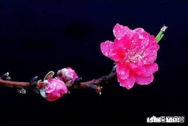 “春天是播种的季节，春天是孕育梦想的时刻”，献给正工作创业的人们。你觉得合适吗