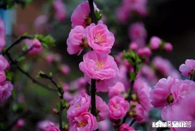 “春天是播种的季节，春天是孕育梦想的时刻”，献给正工作创业的人们。你觉得合适吗