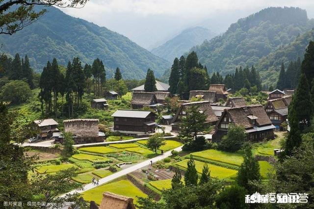 你如何看待农村呢