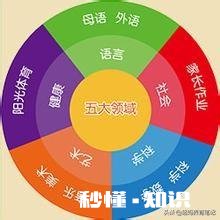 孩子三岁半该学什么