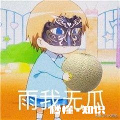 女生发一个吃瓜表情包是什么意思