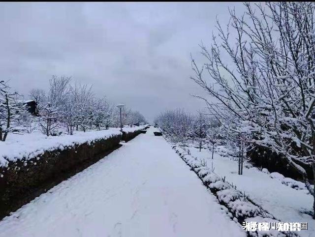 有没有觉得越活越累