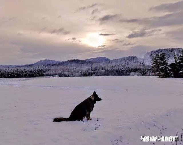 有没有觉得越活越累
