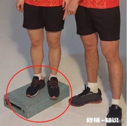 孙颖莎学样刘国梁，微博晒图与许昕比高，对此你怎么看