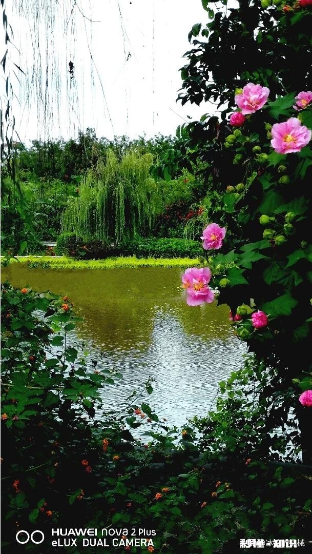 国庆游晒一下你拍的最美的景色吧