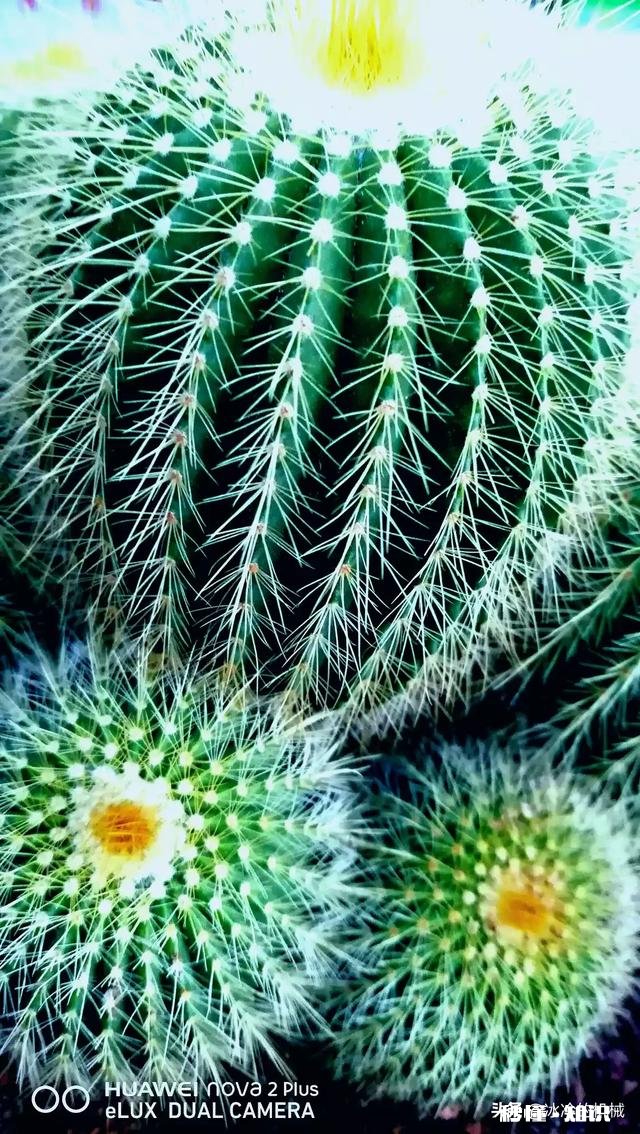 国庆游晒一下你拍的最美的景色吧