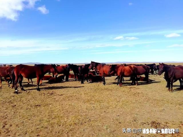 国庆游晒一下你拍的最美的景色吧
