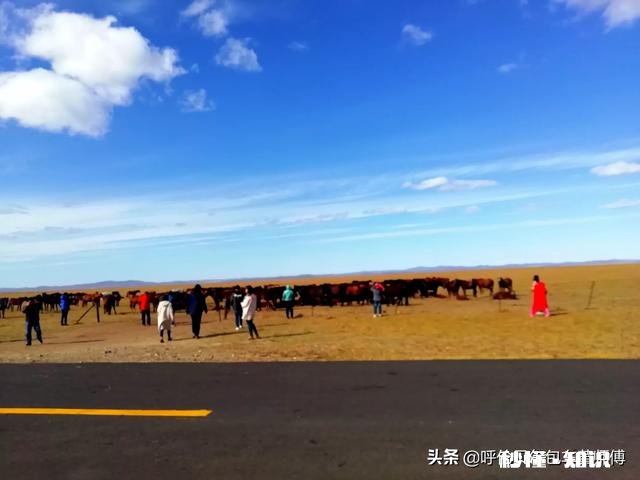 国庆游晒一下你拍的最美的景色吧