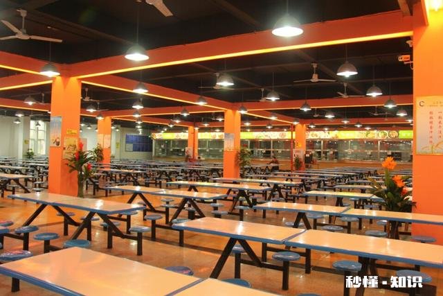 网上吐槽食堂事件让大家有何感想