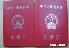 儿媳刚结婚就要分居，我花了钱她却不为我家传宗接代，我该怎么办