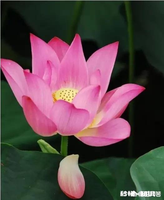 关于陶瓷的诗句有哪些，最好可以知道出处