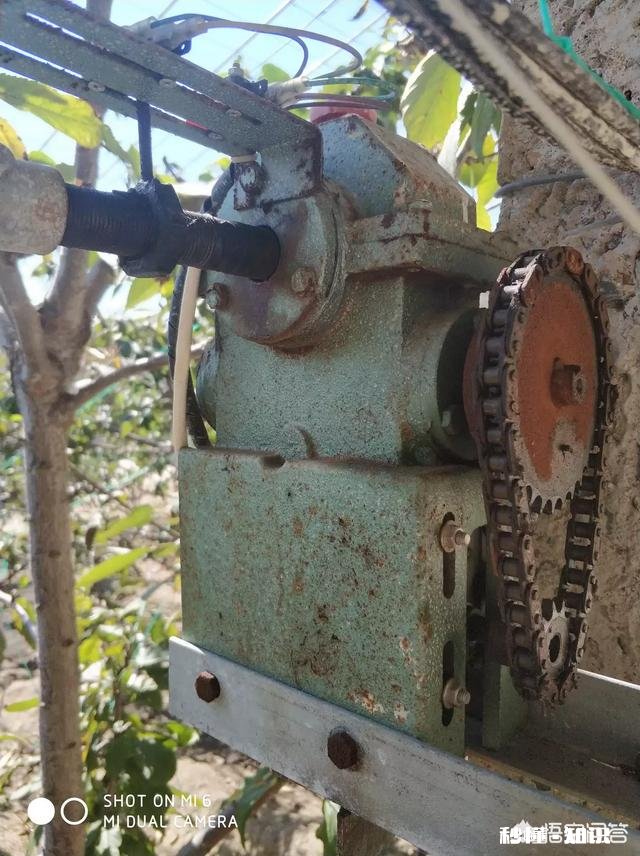 春季大棚温度如何控制怎样通风