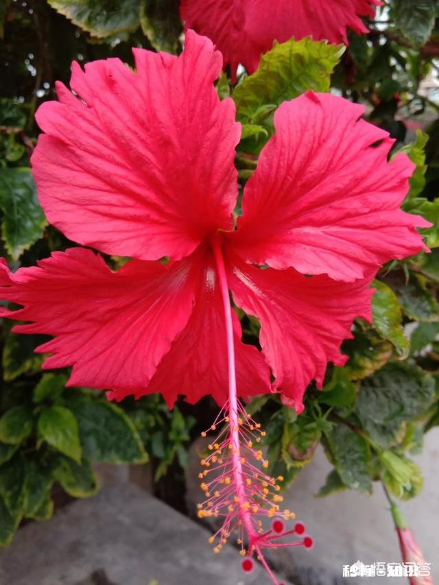 有人说“钱并不重要活着建康就好”，也有人说“有钱能使鬼推磨”，你认为这两个说法哪个更有道理