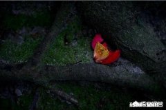 初中数学学生老是计算错误，该怎么避免