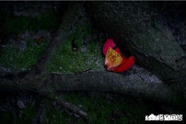 初中数学学生老是计算错误，该怎么避免