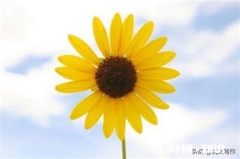 送儿子上幼儿园儿子说不敢去，说老师打了他的腿，我现在该找老师谈谈还是在观察看看