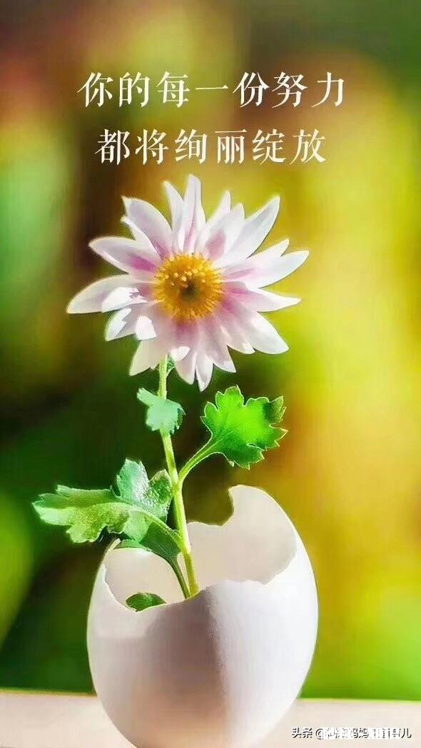 送儿子上幼儿园儿子说不敢去，说老师打了他的腿，我现在该找老师谈谈还是在观察看看