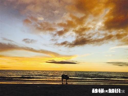 怎样活成一个自己满意的人