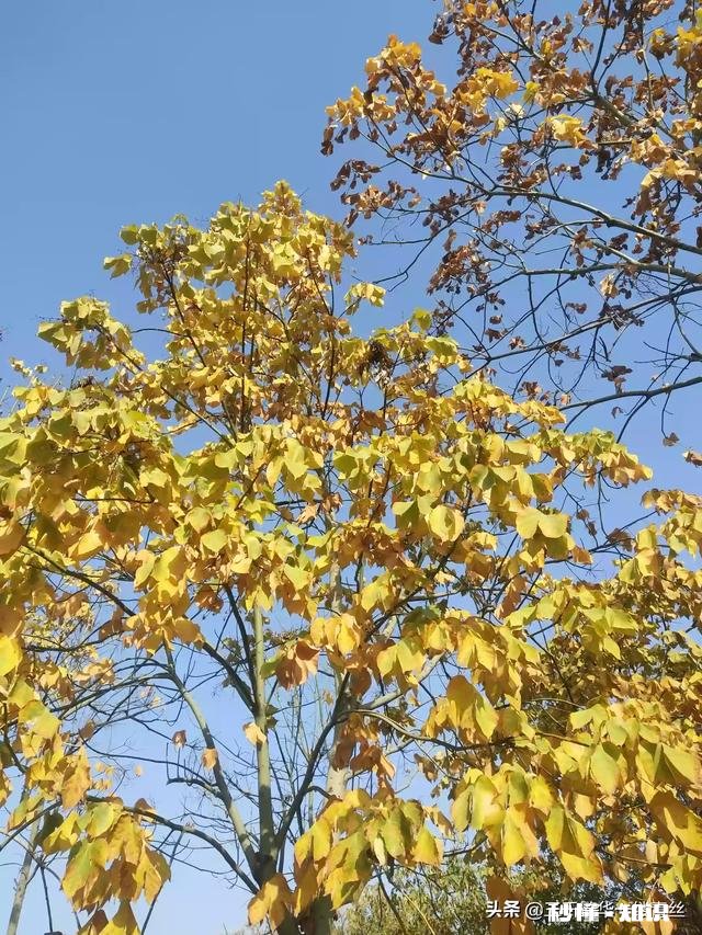 怎样活成一个自己满意的人