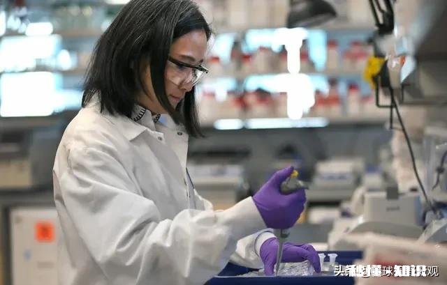 为了研发疫苗，世界多国认捐八十亿美元，美国未参加，你怎么看