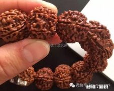 大金刚菩提反碱，边盘边刷，还是干刷好为何