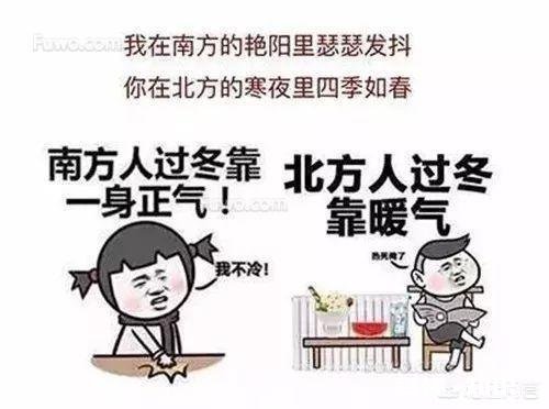 为什么有些北方人来到南方还怕冷